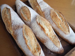 [5185] Filão Italiano