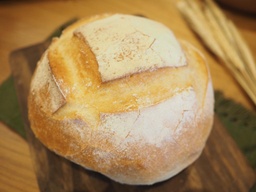 [5184] Panhoca Italiana